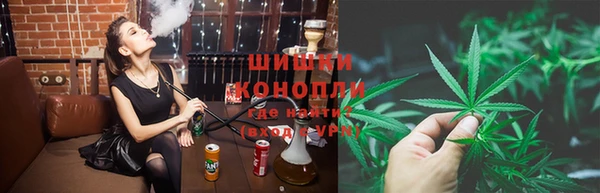 шишки Балабаново