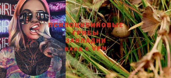 шишки Балабаново