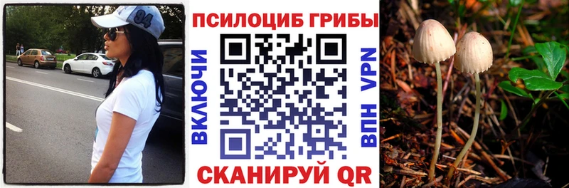 где найти наркотики  Новая Ляля  Псилоцибиновые грибы прущие грибы 