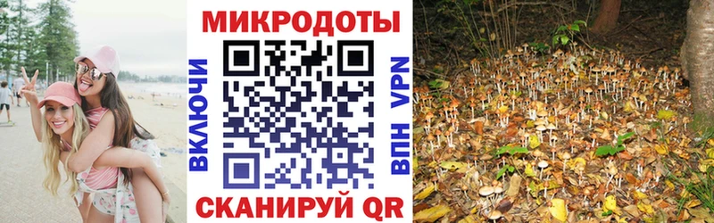Псилоцибиновые грибы Cubensis Новая Ляля