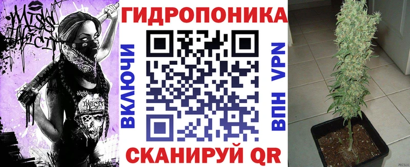где найти   Новая Ляля  Каннабис MAZAR 
